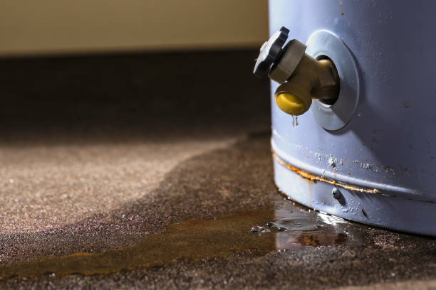 Water damage restoration experts in MI