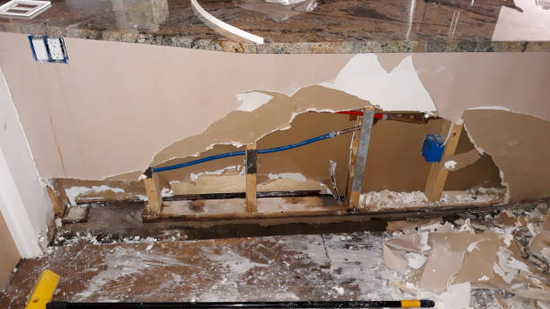 Best Sewage cleanup and water damage restoration  in Grosse Pointe Farms, MI